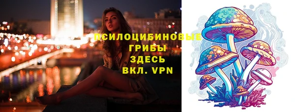 спайс Аркадак